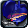 Anatomy Pancreas and Gallbladder vii