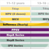 CDC Vaccine Schedule for Adults & Children