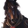 Ban'ei Horse Racing Photobook -Japanese unique horse racing Vol.001-