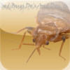 Bed bugs Do's and Don'ts