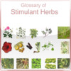 Glossary of Stimulant Herbs