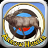Arrow Hunter