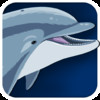 Sea Animals - iPhone edition
