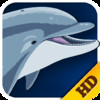 Sea Animals - HD