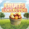 Fruits Collector HD