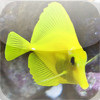 Tap Puzzles - Aquarium Fish Edition