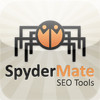 SpyderMate SEO Scorecard Free Website Analysis Tool