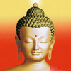 The Next Buddha 2