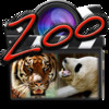Zoo for iMovie