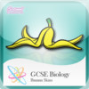 GCSE Biology Banana Skins - Revision Flash Cards