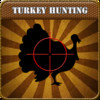 Turkey Hunt Calls