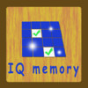 IQ Memory
