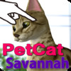 Savannah Petting cat 3D REAL