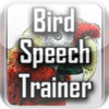 Bird Speech Trainer