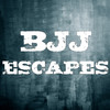 BJJ Escapes