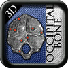Occipital Bone 3D