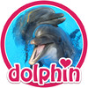 Dolphins - dive into their world!