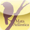 Aves da Mata Atlântica