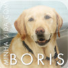 Minha vida com Boris