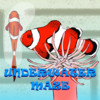 Underwater Maze