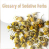 Glossary of Sedative Herbs