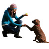 Dog Training Guide - Learn To Train Your Dog