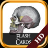 Gray Anatomy - Flash Cards