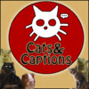 CatsAndCaptions