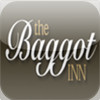 Baggot Inn