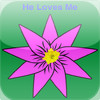 He Loves Me: Let the flower petals predict your...