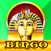 Ace Ancient Bingo PRO - Back to Egypt to win the pharaoh prize
