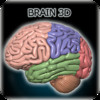 Brain HD