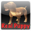 Real Puppy 3D
