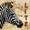 Learn about Animals Lite