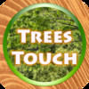 Trees Quiz Touch