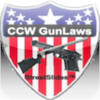 Gun Laws 2013