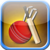 Stickman Flick Cricket World Series - Full Version