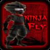 Ninja FLY with Monsters 2012 Game