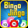 Bingo Jingo - big bash journey