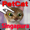Singapura Petting cat 3D REAL