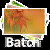 Acc Image Batch Process