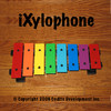 iXylophone for iPad - Play Along Xylophone For Kids Of All Ages