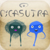 Picasutra - The funny Kamasutra