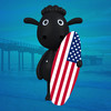 Black Sheep Surf Guide to the USA