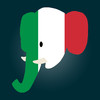 Easy Learning Italian - Translate & Learn - 60+ Languages, Quiz, frequent words lists, vocabulary