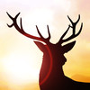 Deer Runner - Escape the Hunter Game