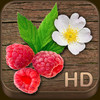 Wild Berries & Herbs HD - NATURE MOBILE