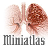 Miniatlas COPD