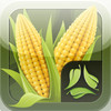 ScoutPro Corn