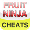 Pro Cheats - Fruit Ninja Edition